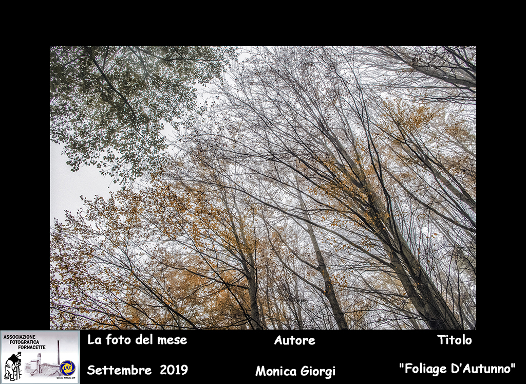 (09)  Foto del Mese Settembre  (2019) Autore Monica Giorgi   Titolo      Foliage D'Autunno.jpg
